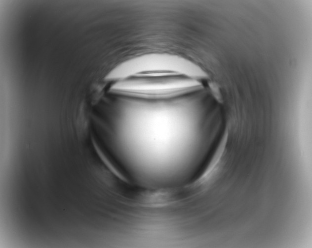 X0000088050186200706011349