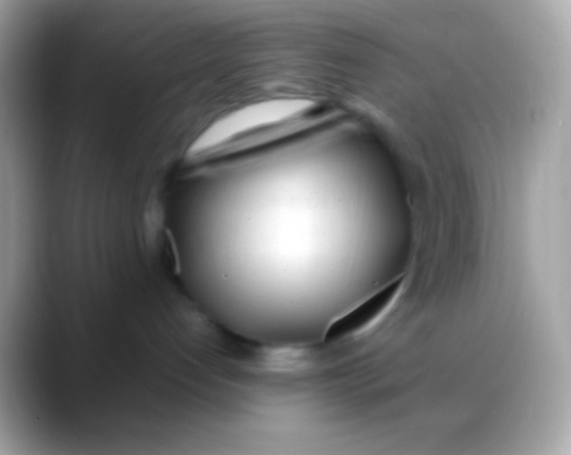 X0000088050192200706011349