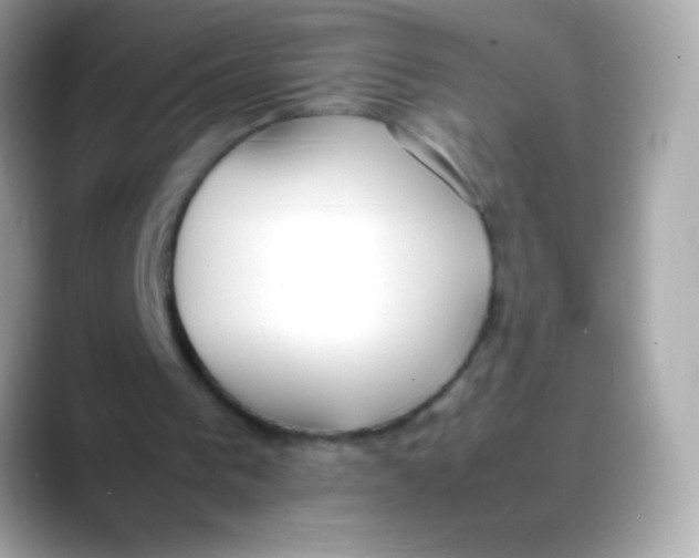 X0000088050193200706011348