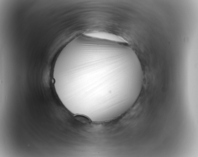 X0000088050194200706011348