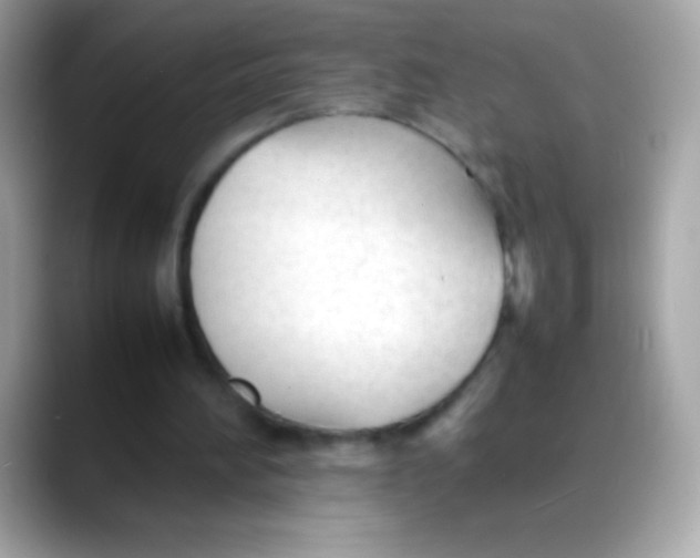 X0000088050196200706011348