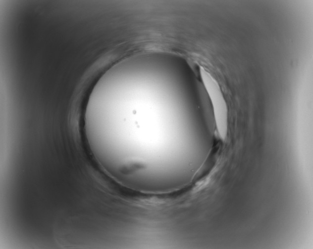 X0000088050197200706011348