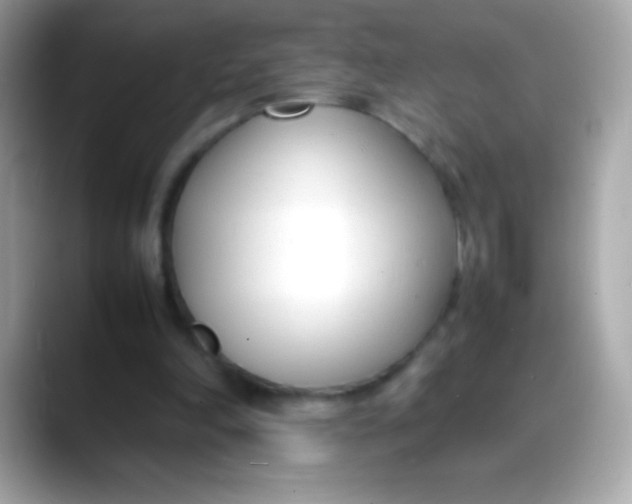 X0000088050198200706011348