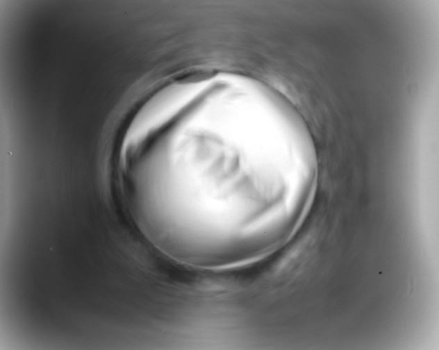 X0000088050199200706011348