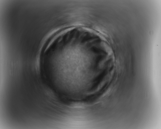 X0000088050200200706011348