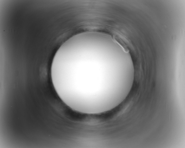 X0000088050207200706011348