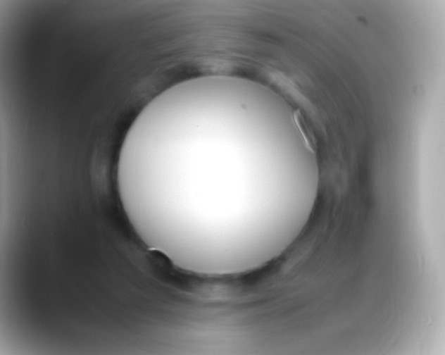 X0000088050209200706011348