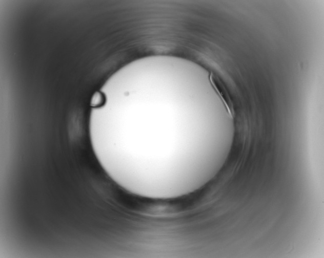 X0000088050212200706011348