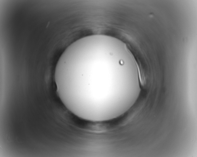 X0000088050221200706011348