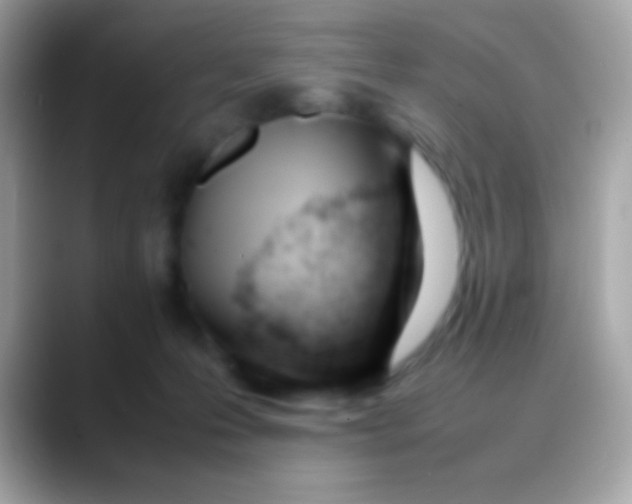 X0000088050223200706011348