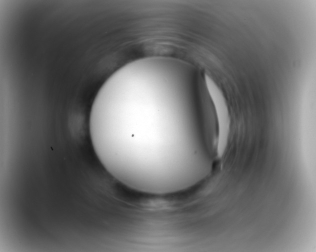 X0000088050224200706011348