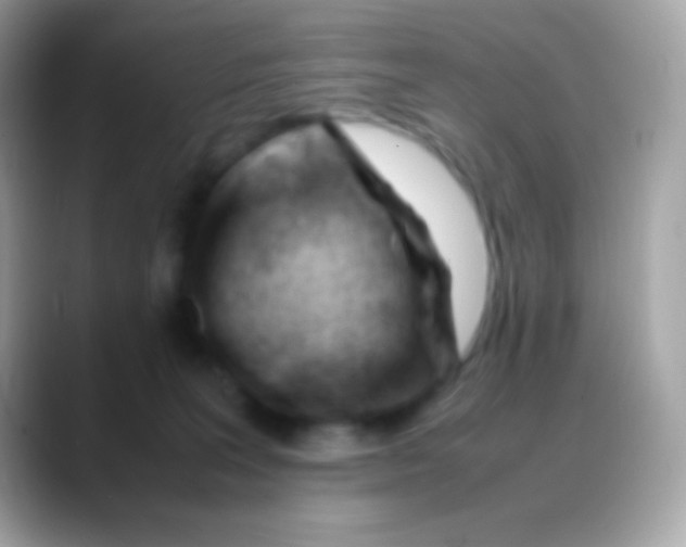 X0000088050227200706011348