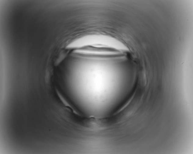 X0000088050229200706011348