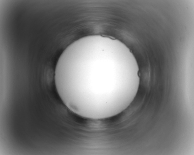 X0000088050230200706011348