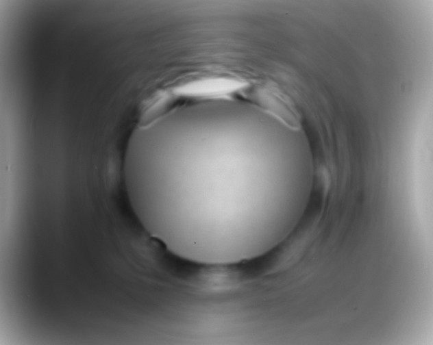 X0000088050231200706011348