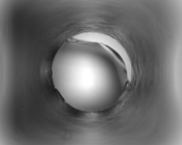 X0000088050233200706011348
