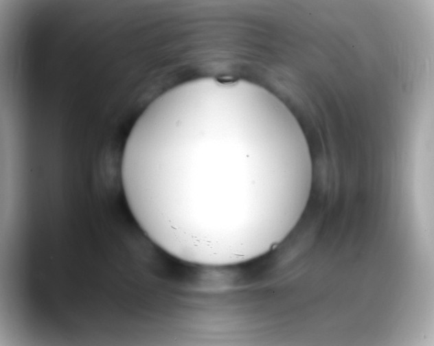X0000088050234200706011348