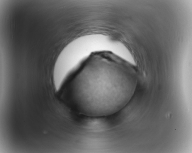 X0000088050235200706011348