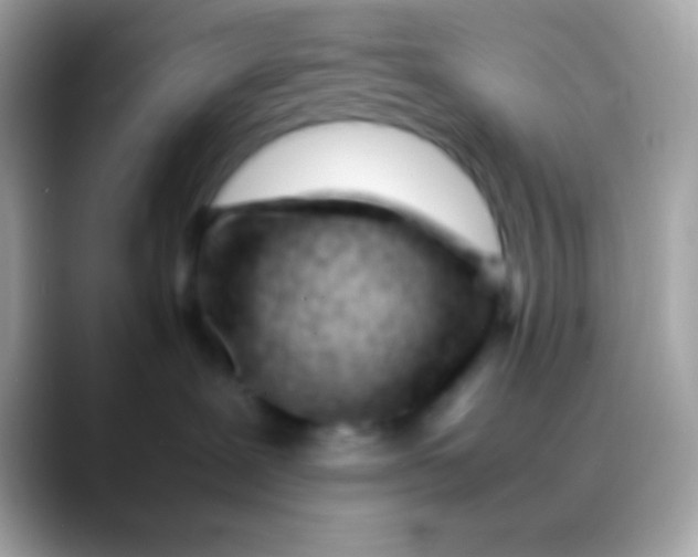 X0000088050239200706011348