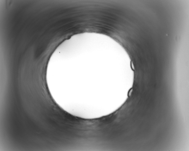 X0000088050241200706011347
