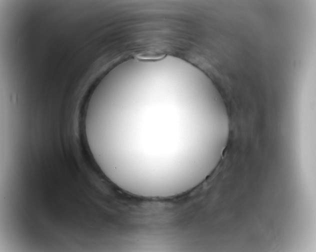 X0000088050242200706011347