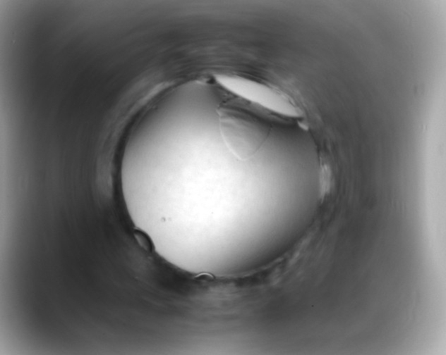 X0000088050243200706011347