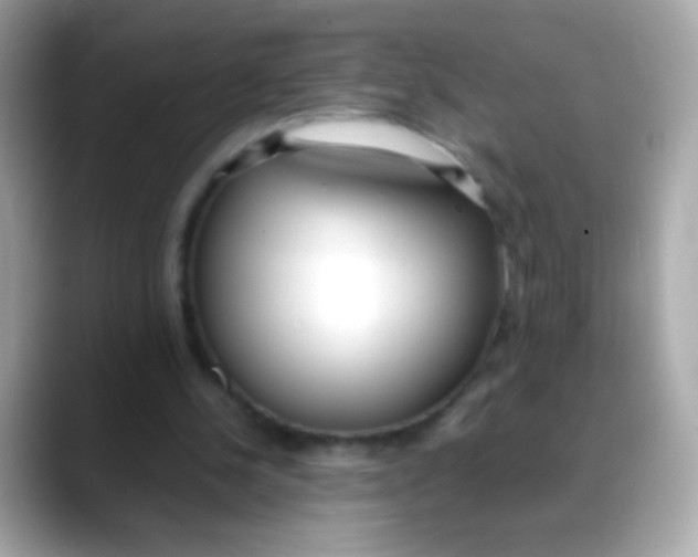 X0000088050244200706011347