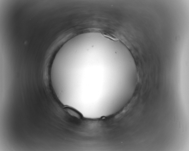 X0000088050245200706011347
