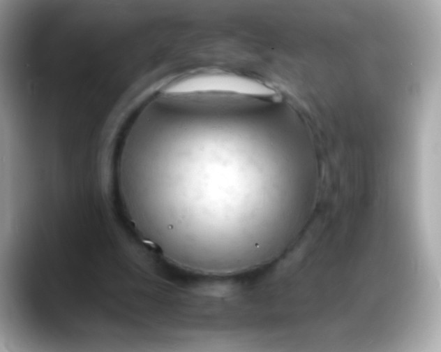 X0000088050247200706011347