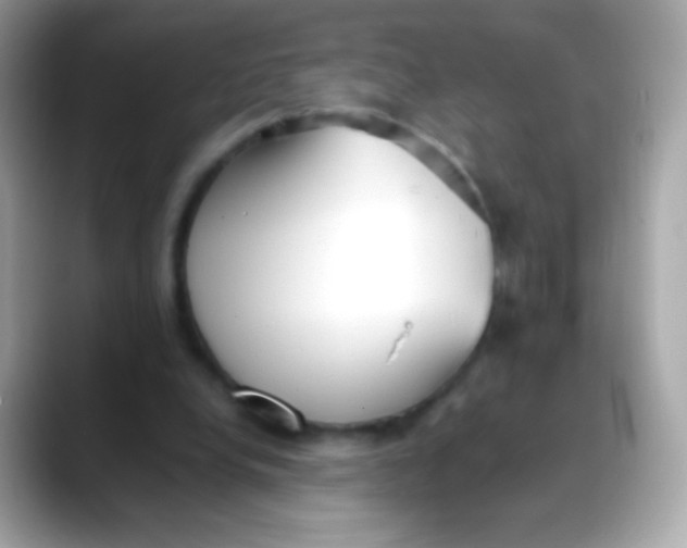 X0000088050248200706011347