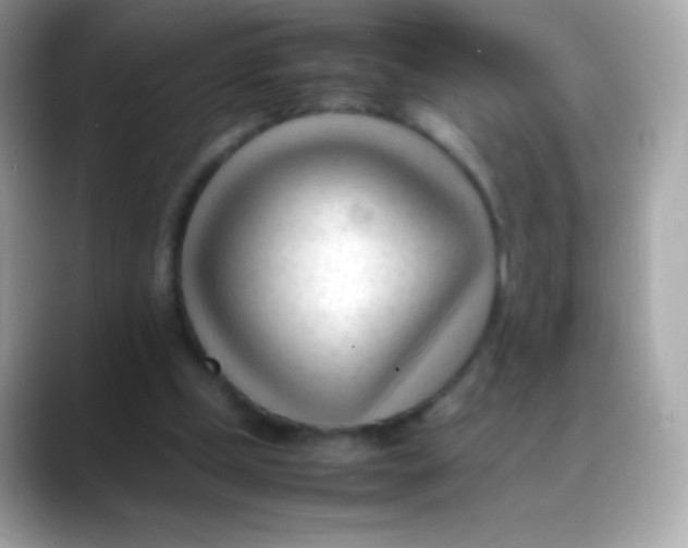 X0000088050249200706011347