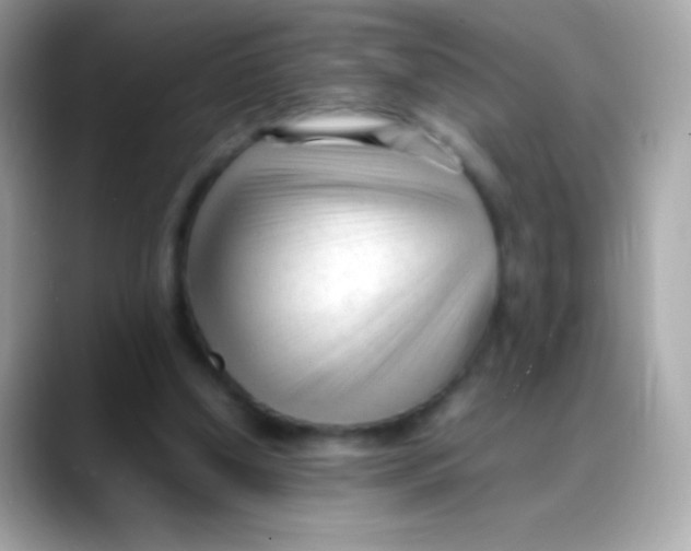 X0000088050250200706011347