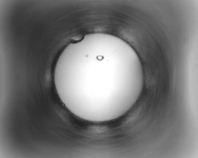 X0000088050251200706011347