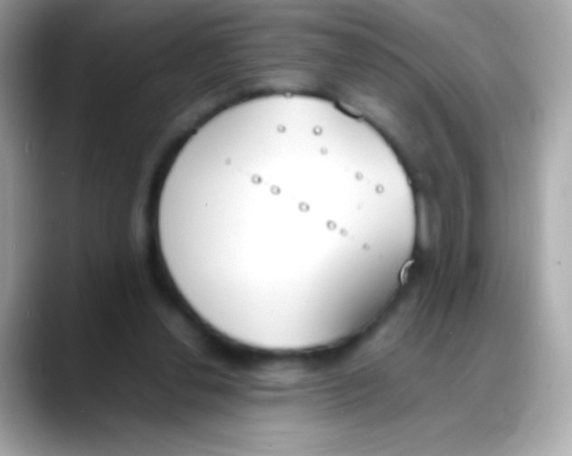 X0000088050252200706011347