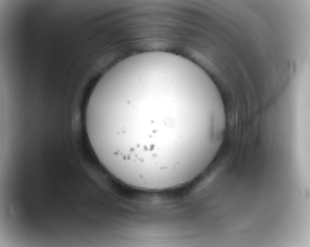 X0000088050254200706011347