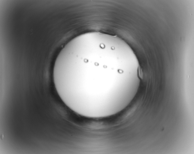 X0000088050256200706011347