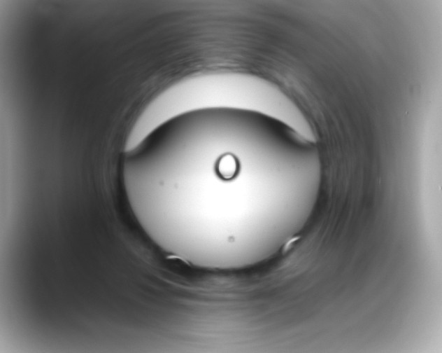 X0000088050260200706011347