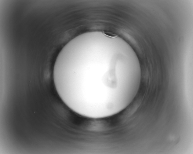 X0000088050261200706011347
