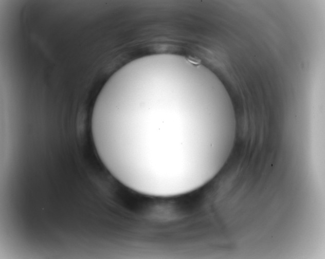 X0000088050263200706011347