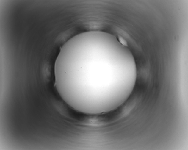 X0000088050264200706011347