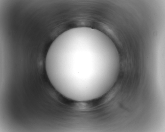 X0000088050265200706011347