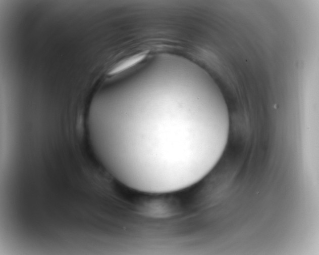 X0000088050267200706011347