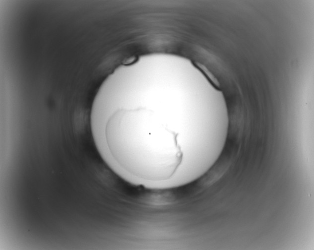 X0000088050278200706011348