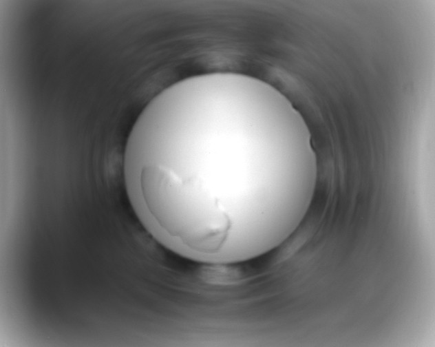 X0000088050281200706011348