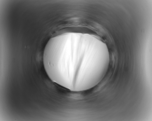 X0000088050284200706011348