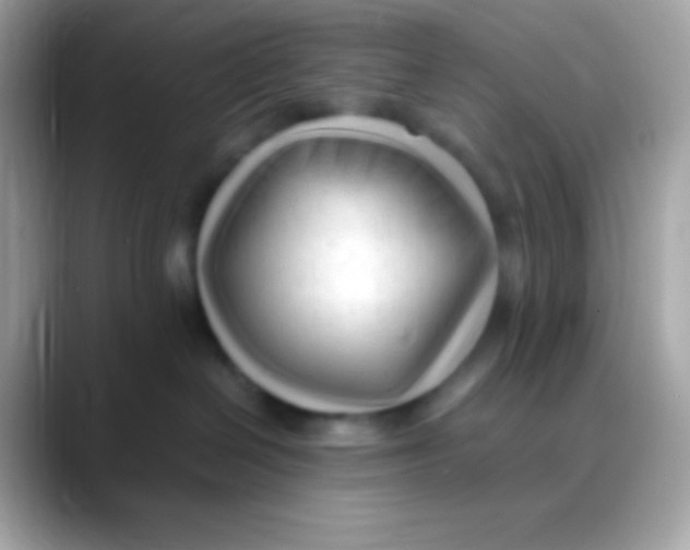 X0000088050286200706011348
