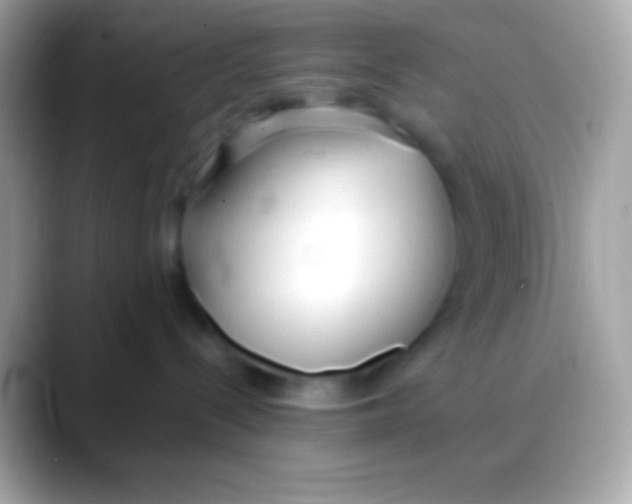 X0000088050288200706011348