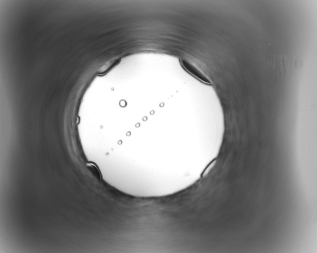 X0000088050289200706011347