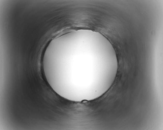 X0000088050290200706011347