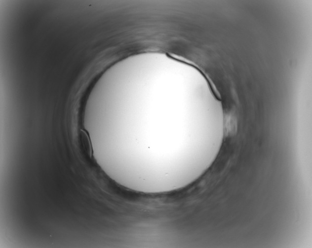 X0000088050291200706011347